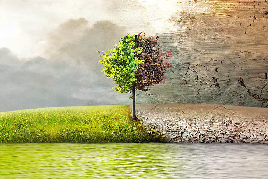 Bagaimana Perubahan Iklim Memengaruhi Tubuh Kita dan Cara Melindungi Diri